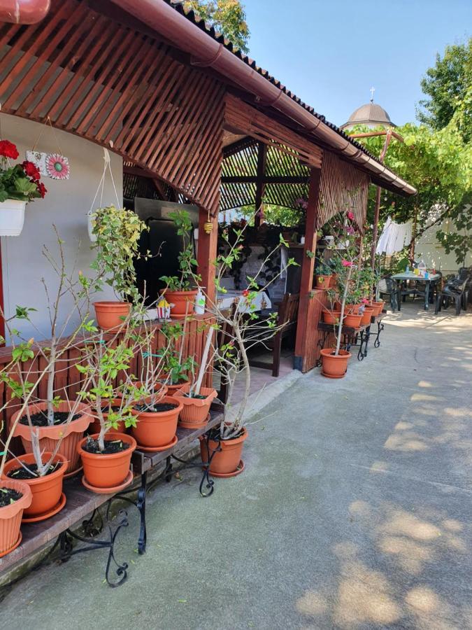 Casa Ghemus Costinesti Hotel Kültér fotó